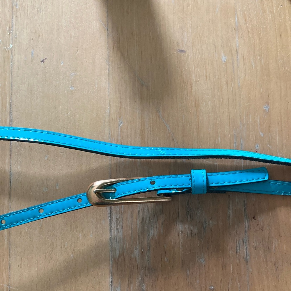 Vintage blue skinny belt